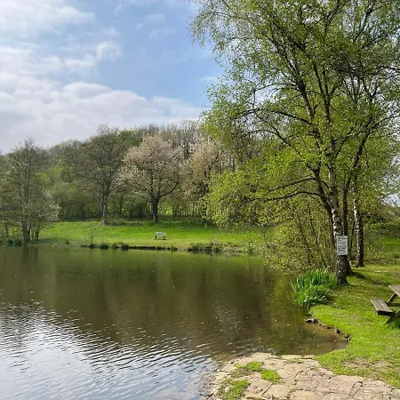 Am Sternberg 50 By Interhome * Frankenau