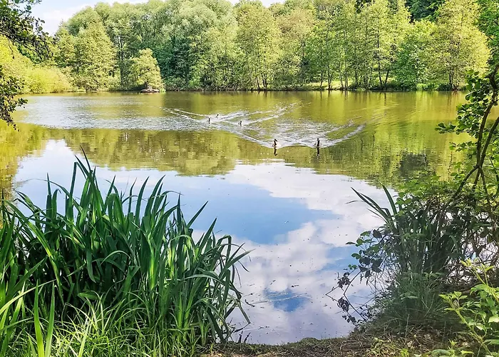 Am Sternberg 50 By Interhome